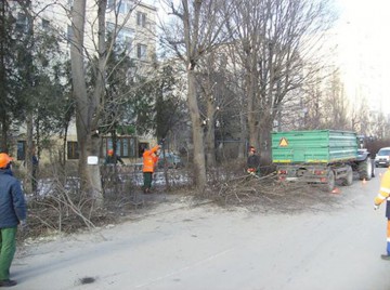 Pe unde se mai dă cu mătura şi se taie pomi prin municipiul Constanţa